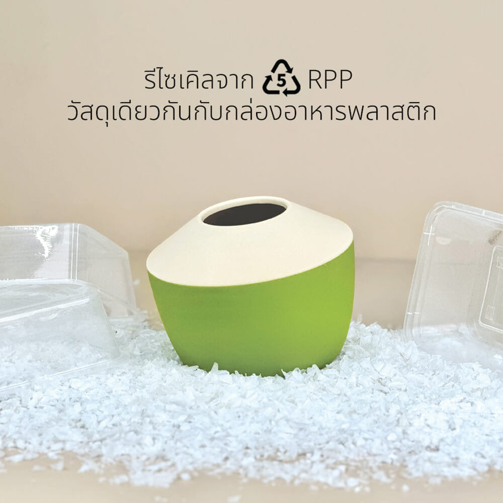 กล่องทิชชู QUALY ดีไซน์มะพร้าว สีเขียว